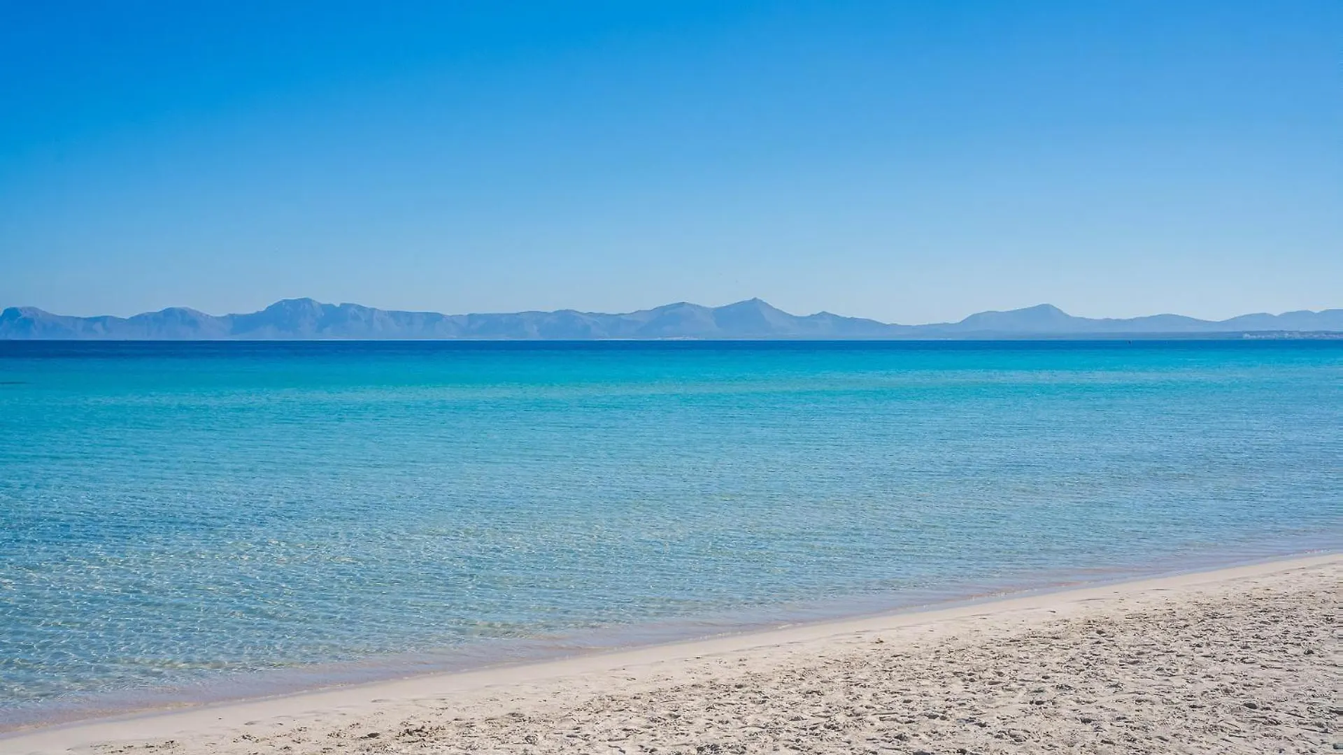 Ideal Property Mallorca - Blue Palm Beach Alcudia  Spain